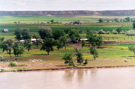 [Water is muddy colored and near the top of the bank. Ground vegetation is green.]